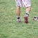 A person wearing sports shoes and patterned shorts stands on a grassy field, with various sports equipment like gloves and a helmet placed on the ground nearby.