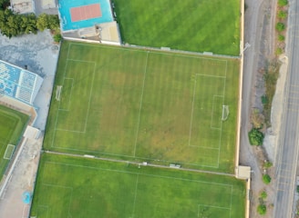 An aerial view of a sports complex featuring multiple green grass fields, including football pitches with marked goalposts. Adjacent to the fields is a blue-roofed building and a smaller area with a tennis or basketball court. Surrounding the complex, there's a road lined with trees and a dirt area with sparse vegetation.
